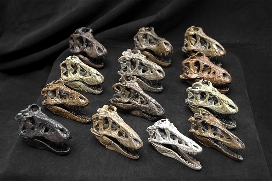 Amazon.co.jp: T-Rex T-Rex T-Rex Skull, Skull, Skeleton